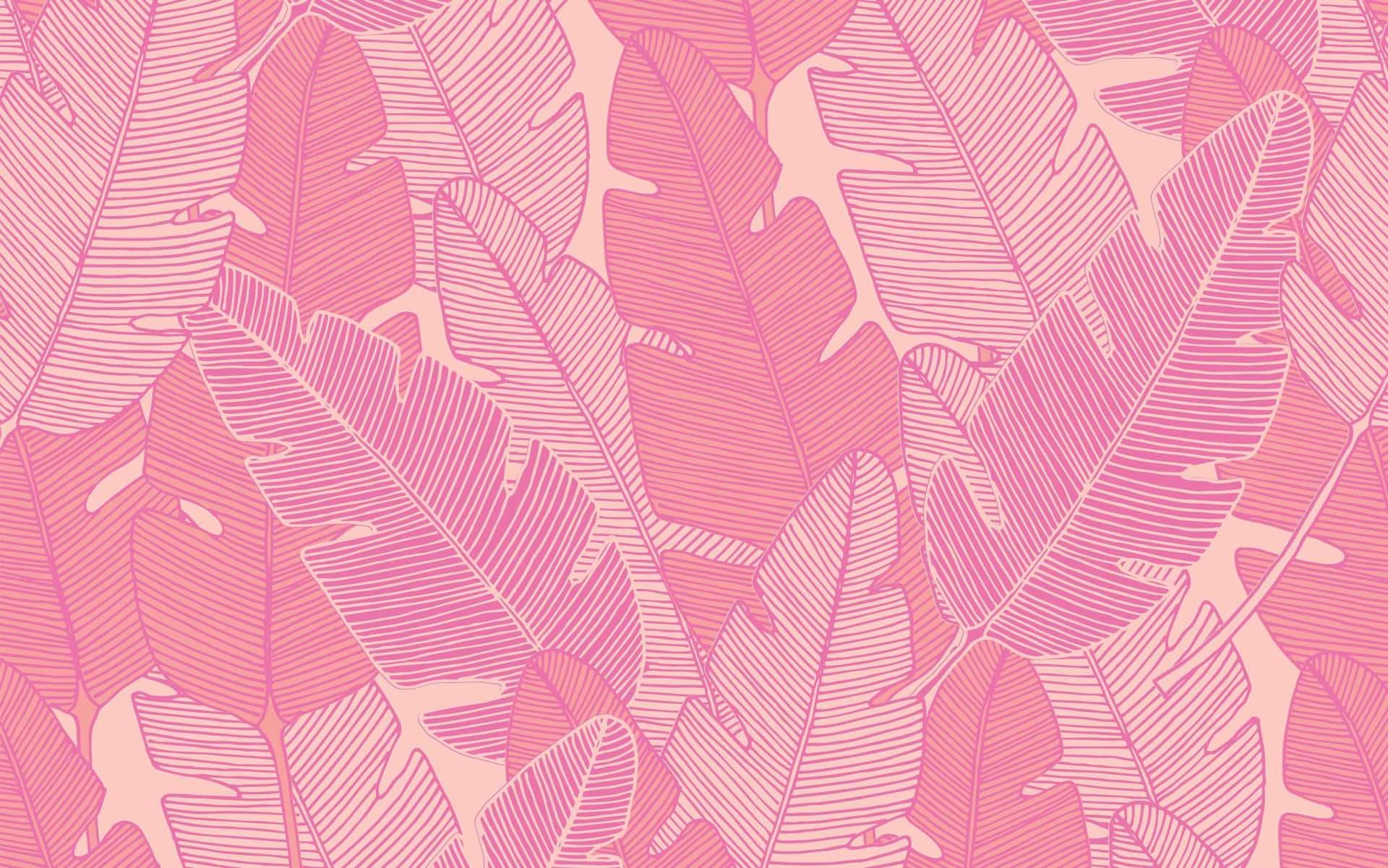 A Pink And White Tropical Leaf Pattern Background