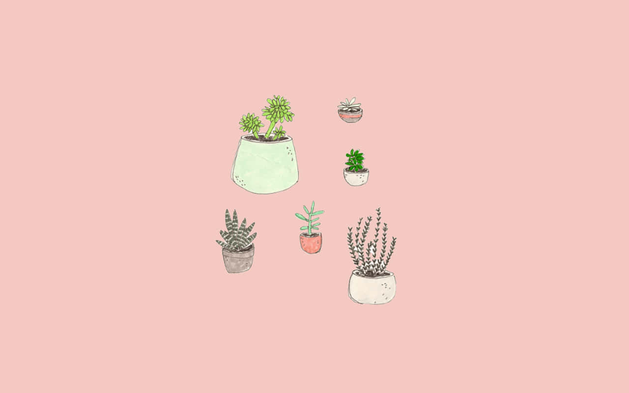 A Pink Background With A Bunch Of Plants In Pots Background