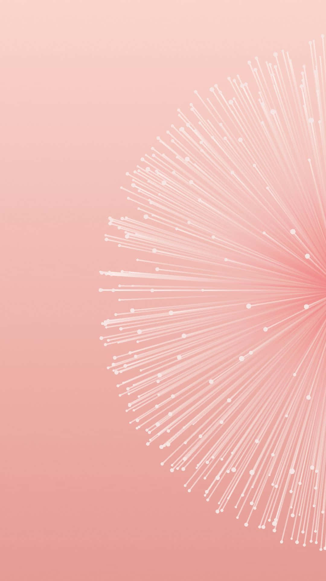 A Pink Background With A Dandelion Flower Background