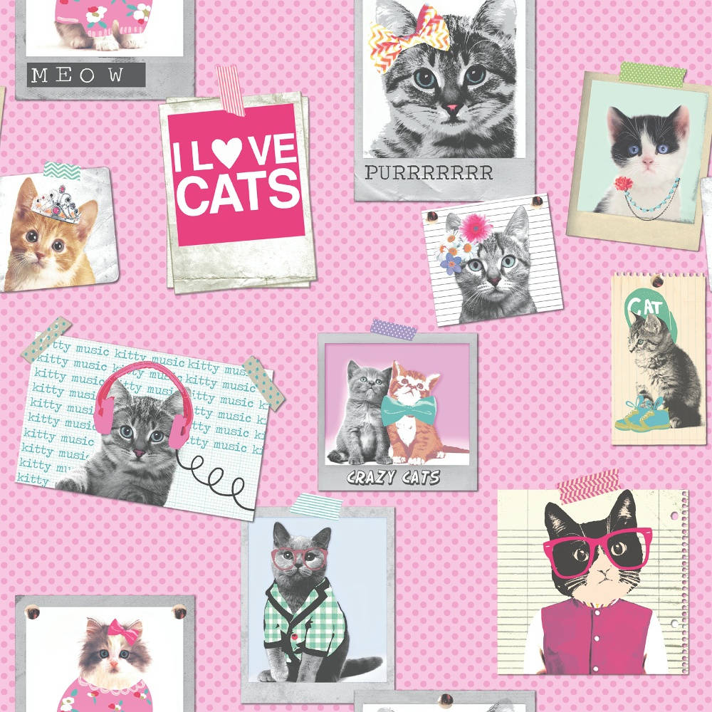 A Pink Background With Pictures Of Cats