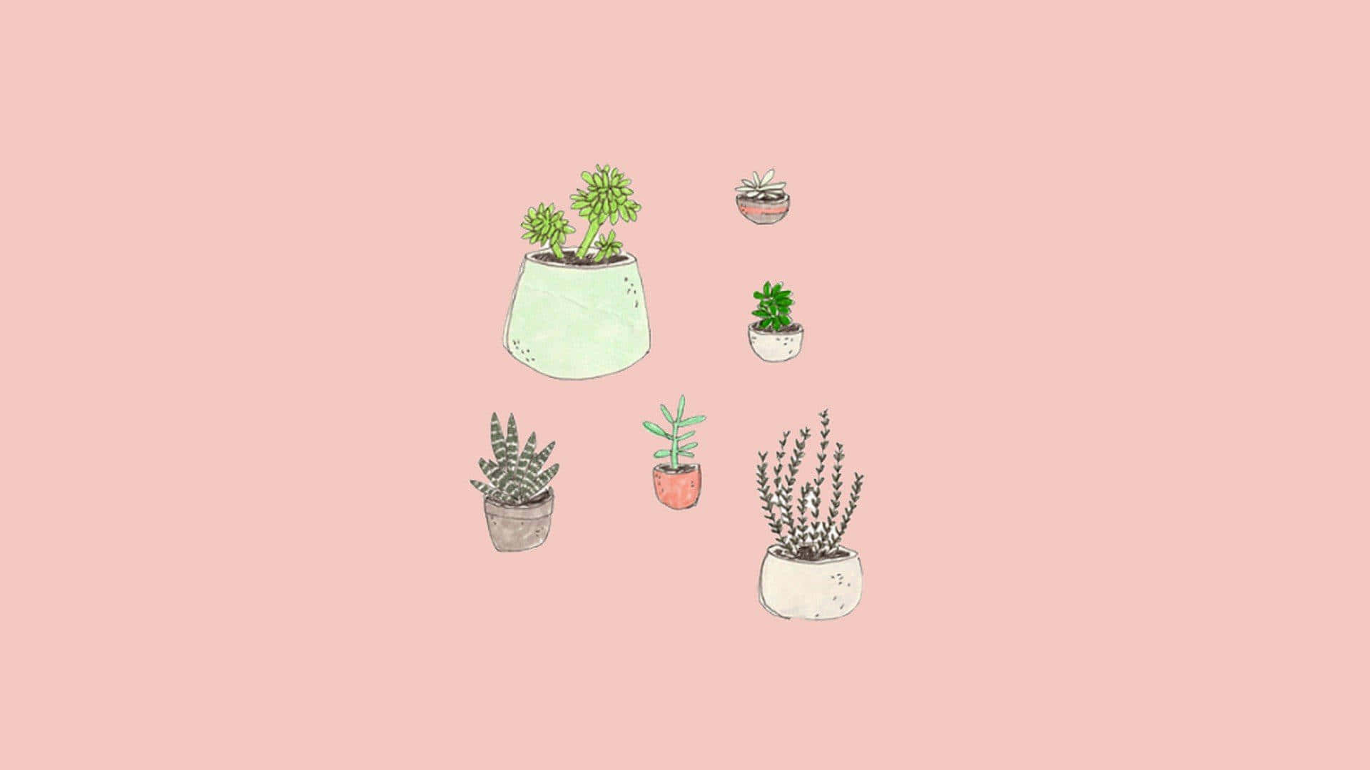 A Pink Background With Several Potted Plants