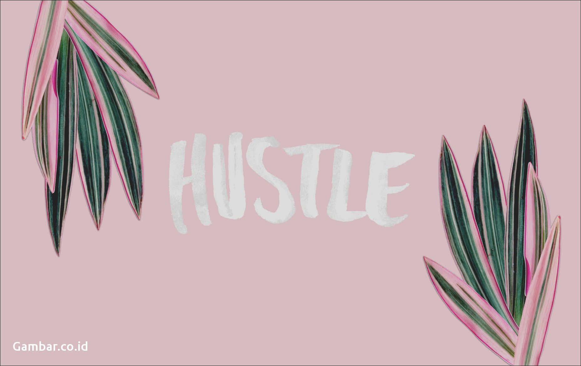 A Pink Background With The Word Hustle On It