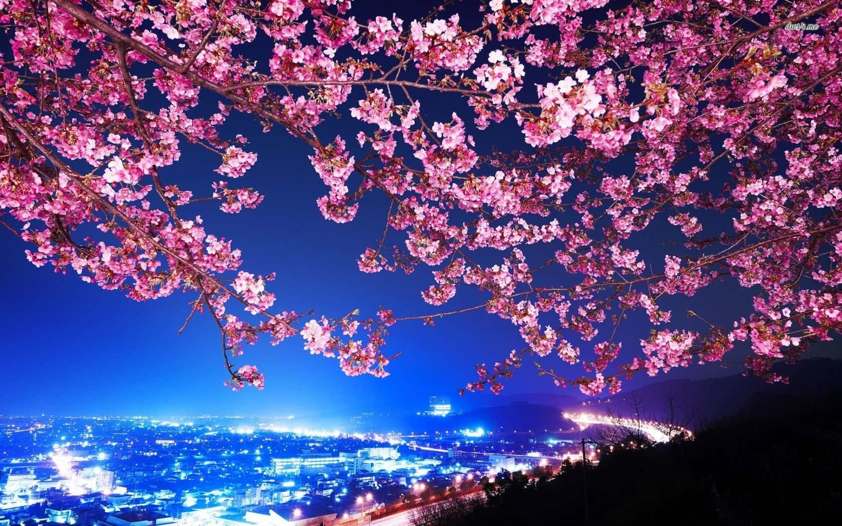 A Pink Blossom Tree With A City In The Background Background