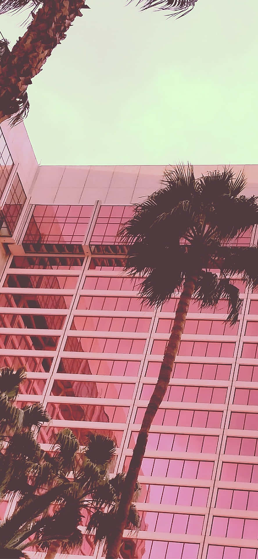 A Pink Building With Palm Trees Background