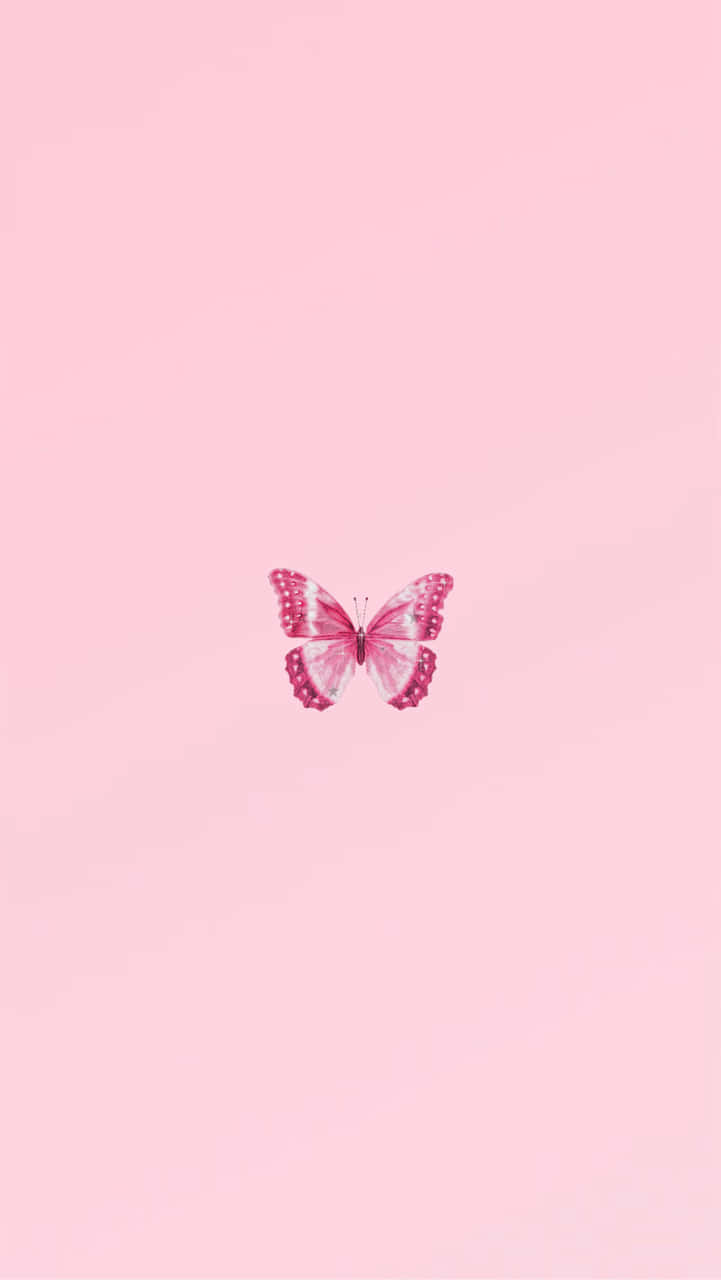 A Pink Butterfly On A Pink Background Background