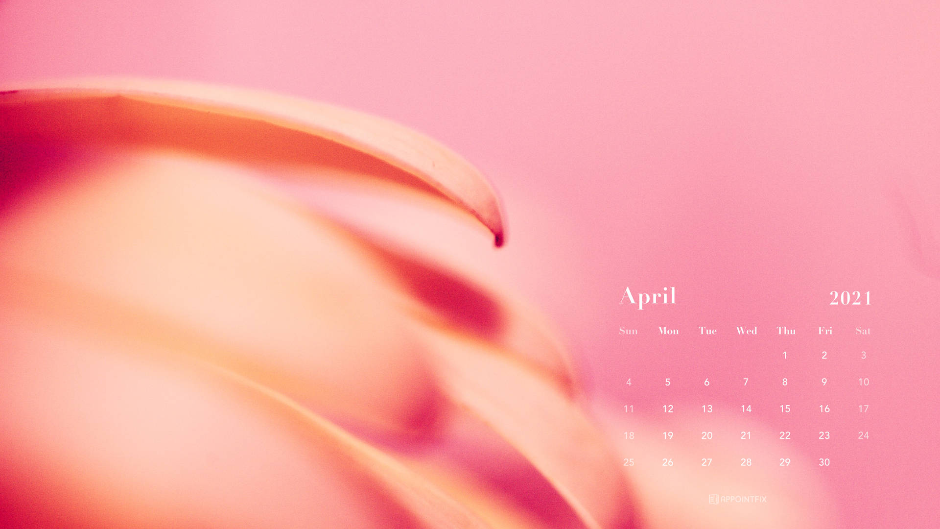 A Pink Calendar With A Flower In The Background Background