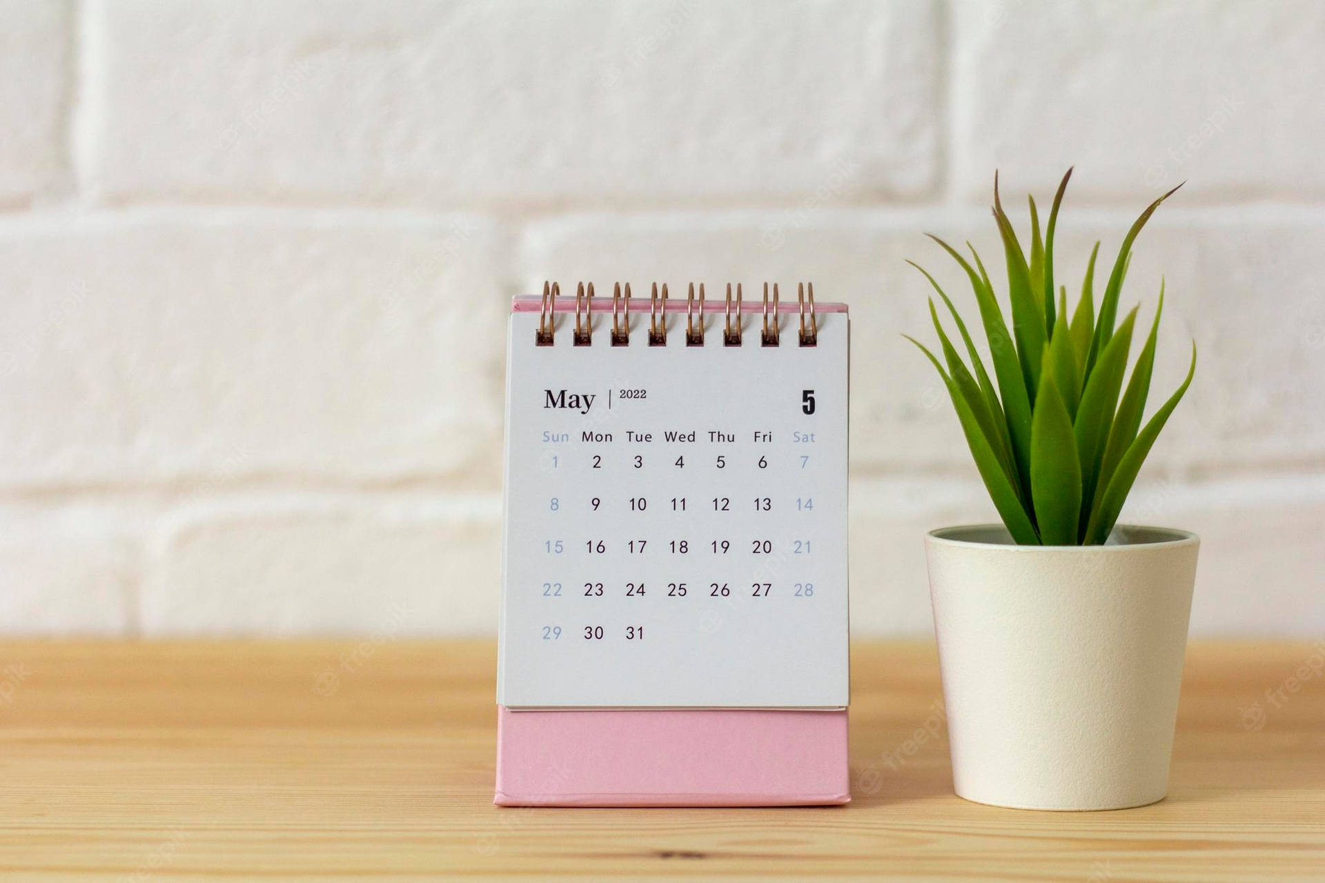 A Pink Calendar With A Plant On A Wooden Table Background