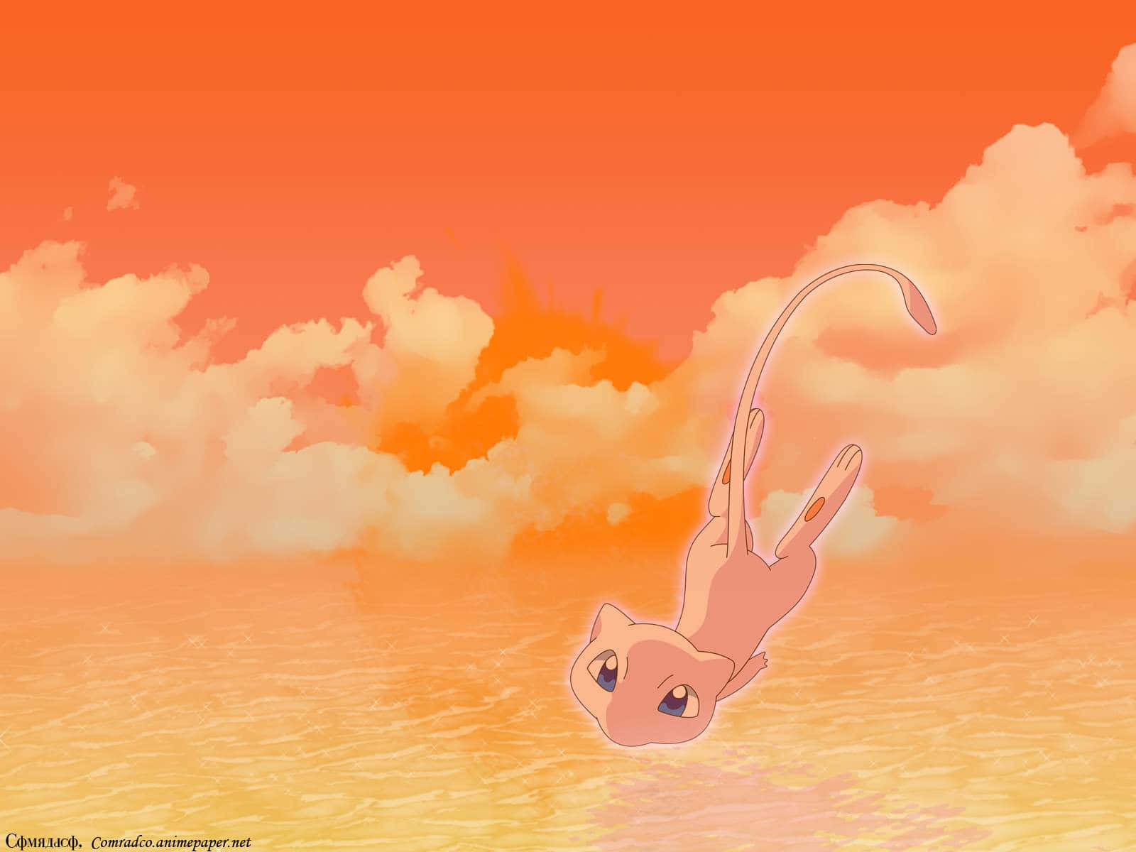 A Pink Cat Is Floating In The Water Background