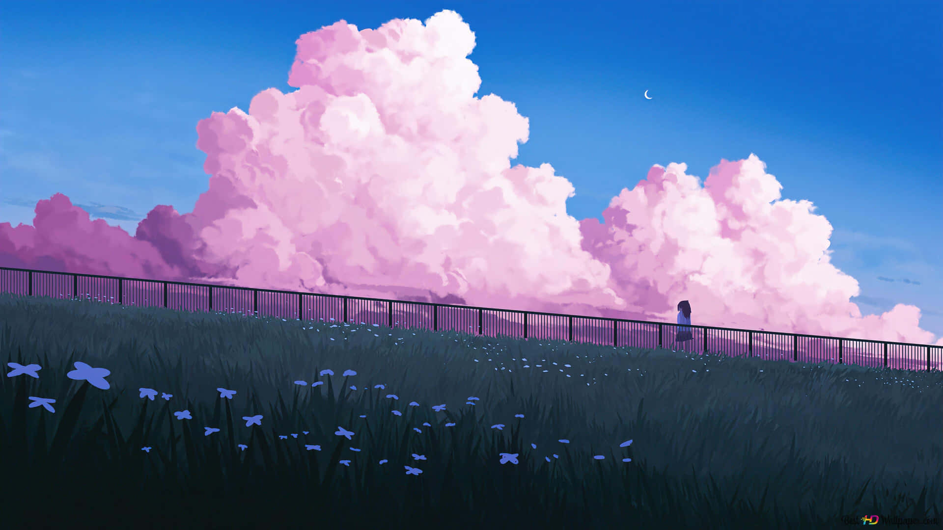 A Pink Cloud With A Person Standing In The Grass Background