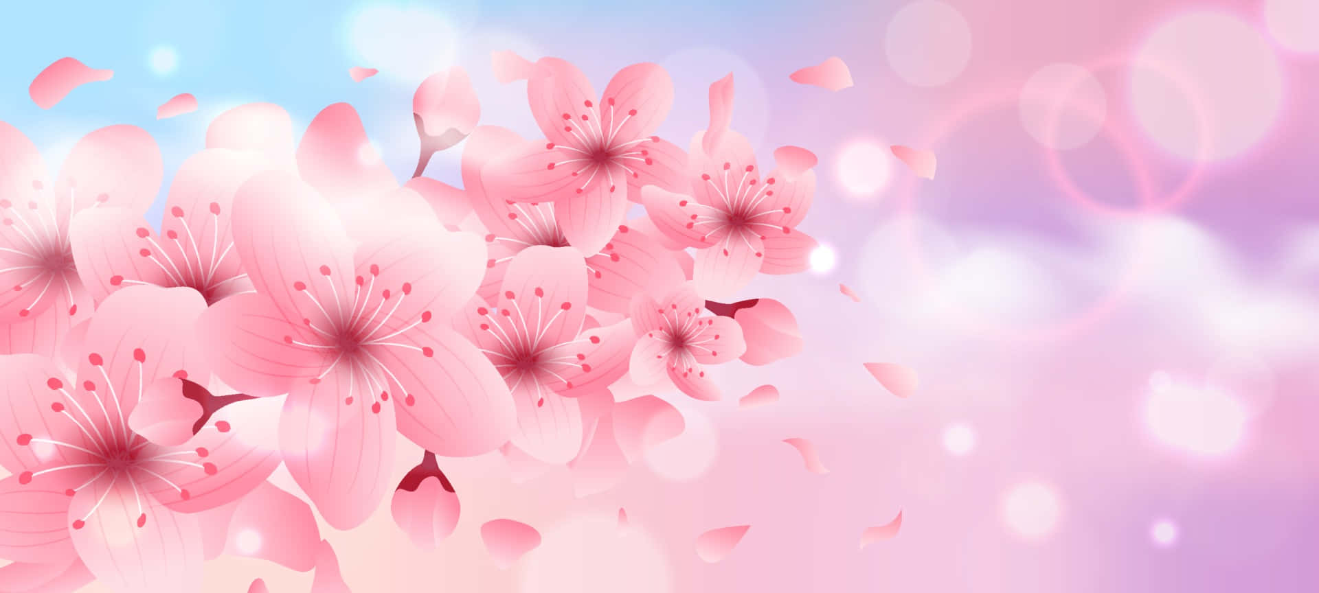 A Pink Flower Background With Bokeh Lights