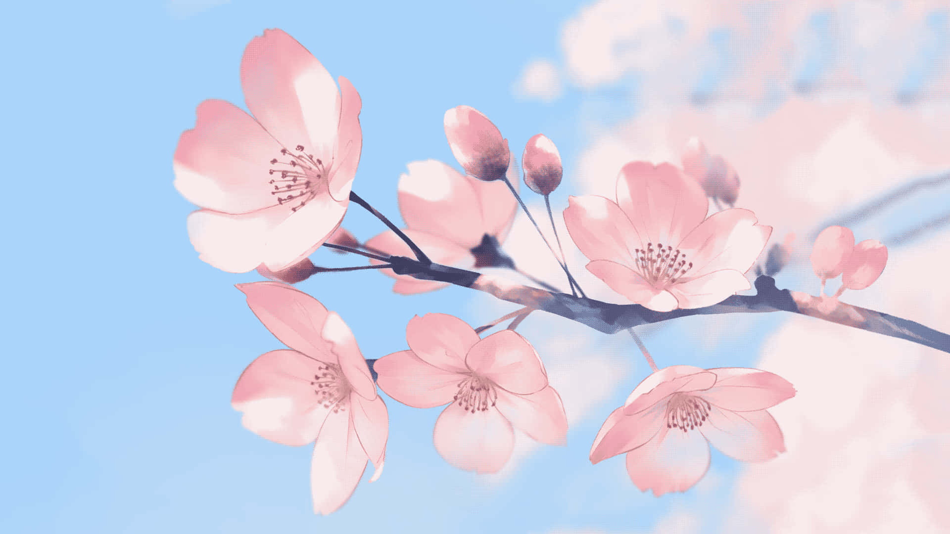 A Pink Flower Branch With Blue Sky Behind It Background