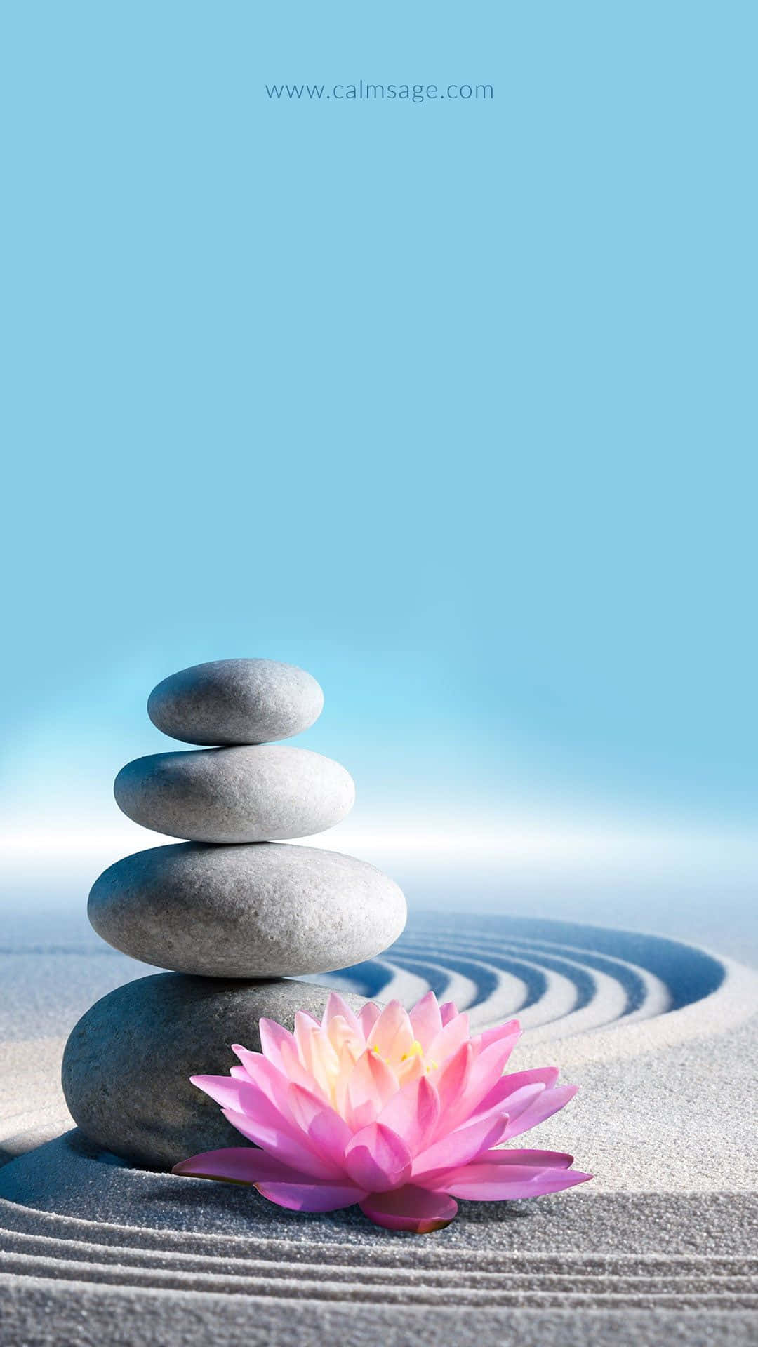 A Pink Lotus Flower On A Stack Of Stones Background