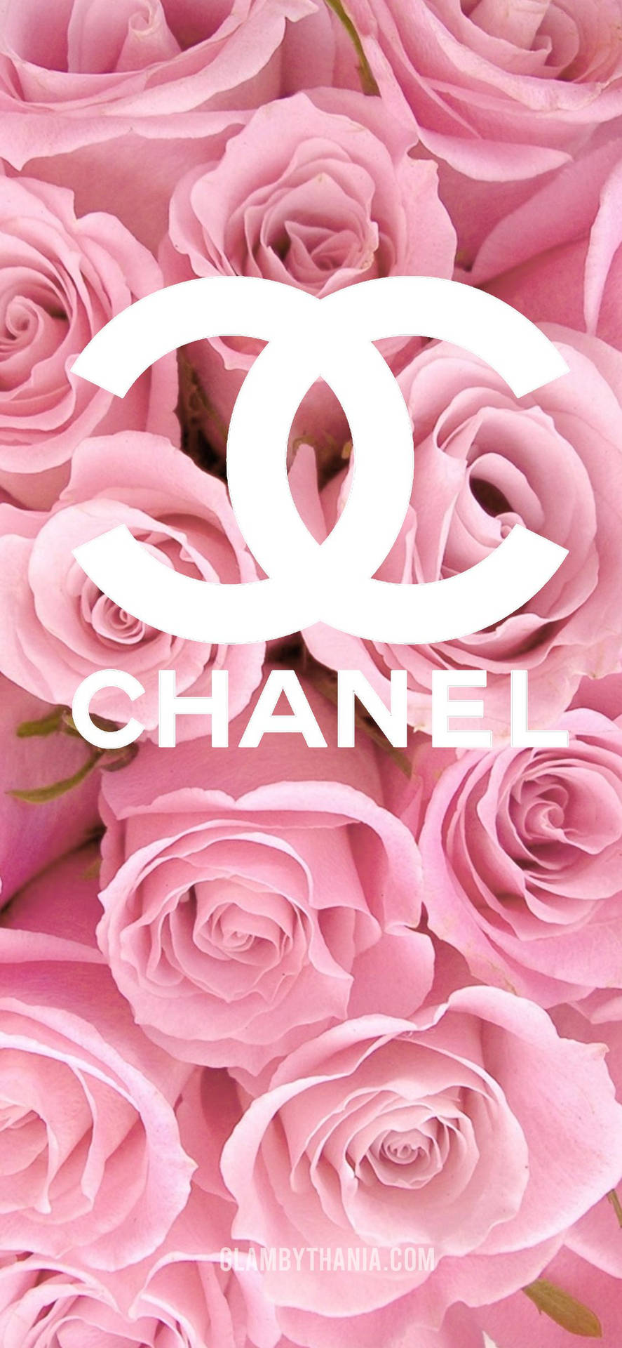 A Pink Rendition Of One Of The World's Most Iconic Fashion Logos, The Chanel Logo. Background