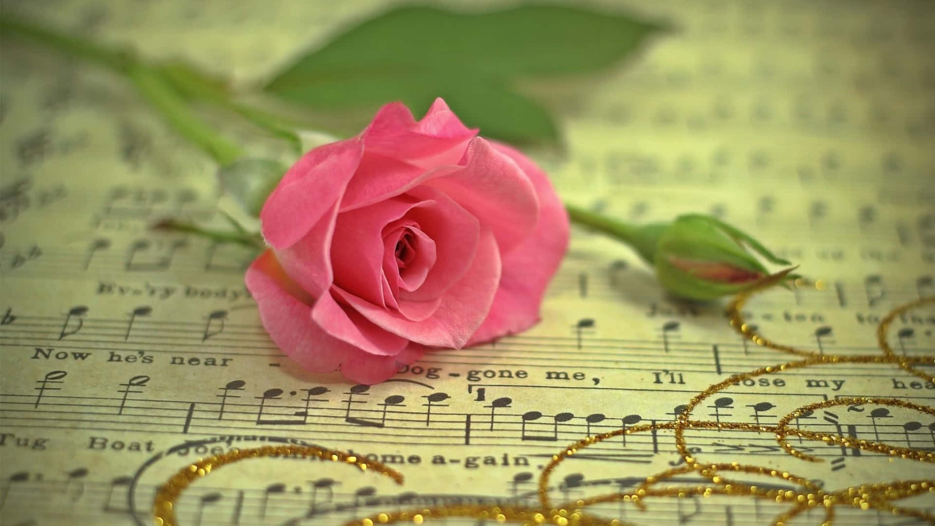 A Pink Rose On Top Of Music Sheet Background