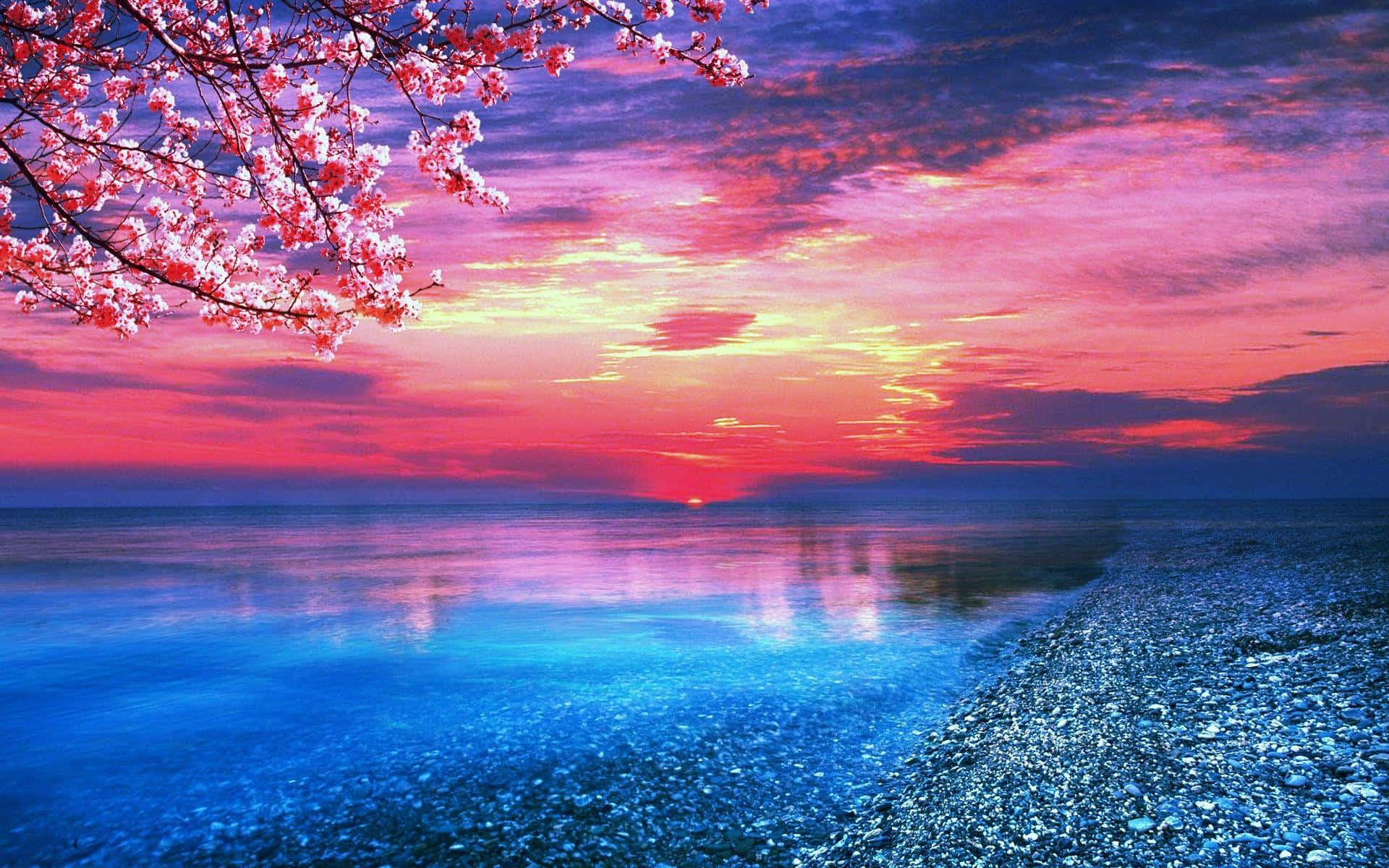 A Pink Sunset Over The Water Background