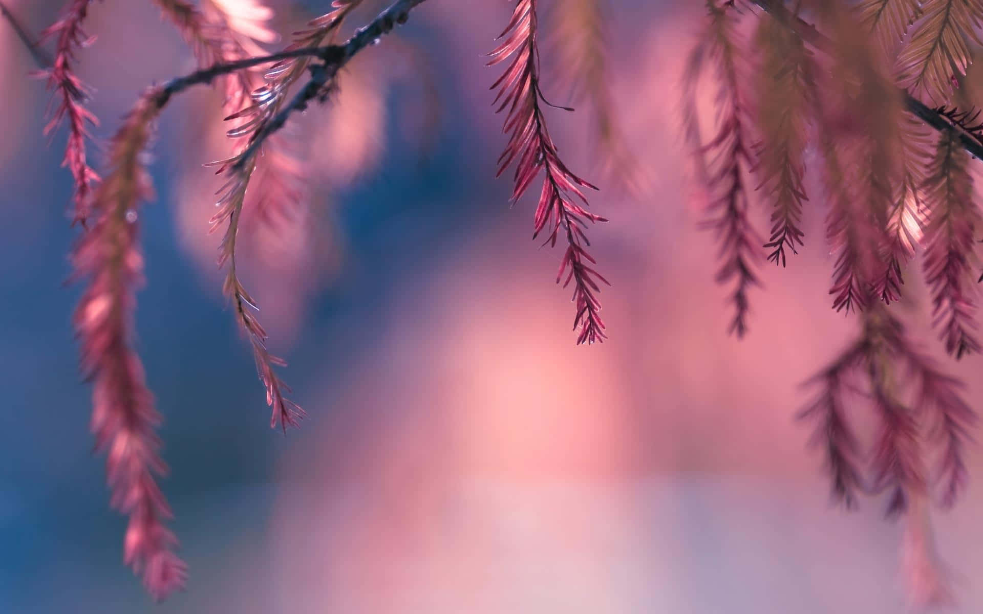 A Pink Tree With Leaves In The Background