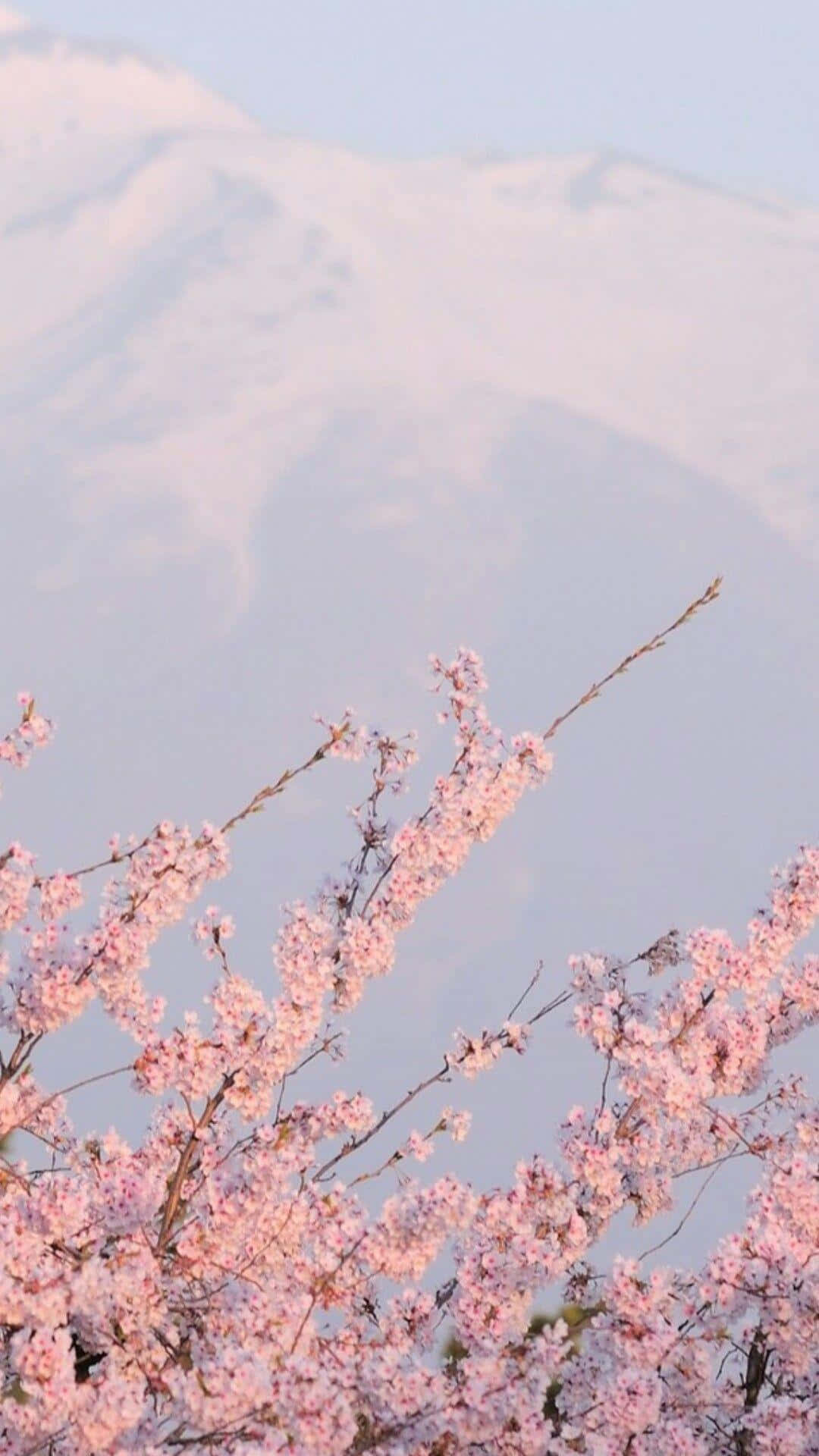 A Pink Tree With Snowy Mountains In The Background