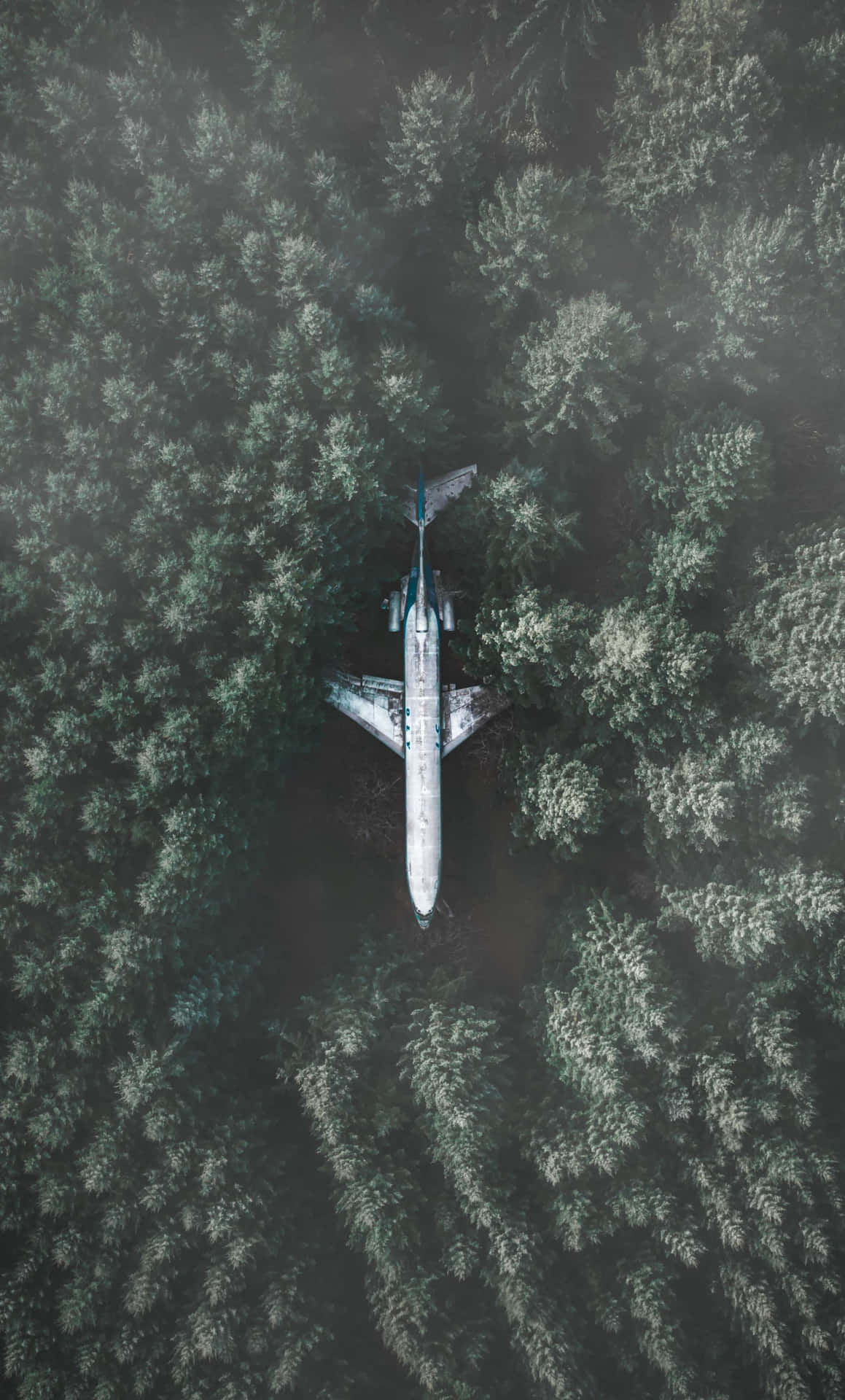 A Plane Taking Off From The Runway Background