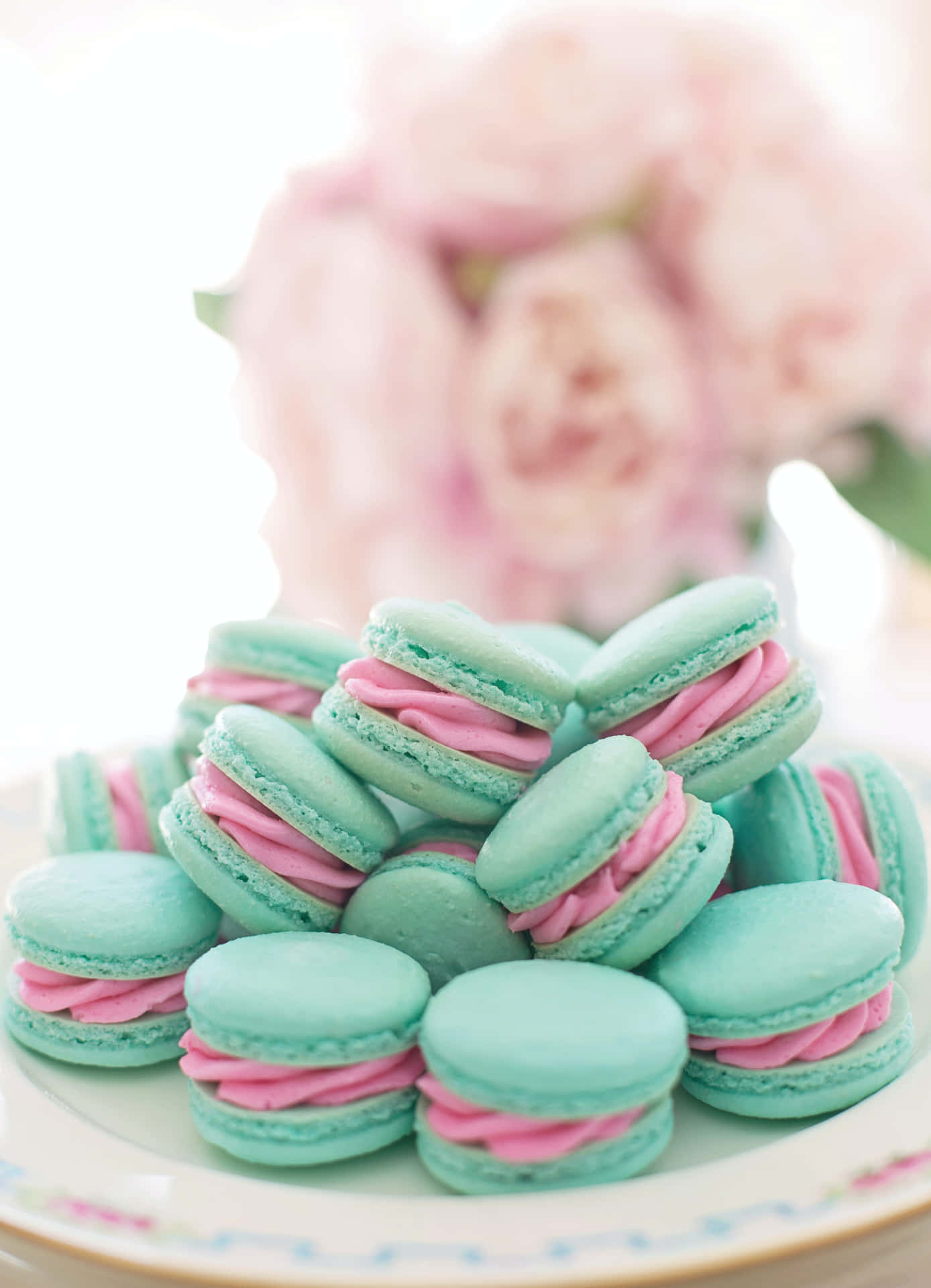 A Plate Of Pink And Blue Macarons On A White Plate Background