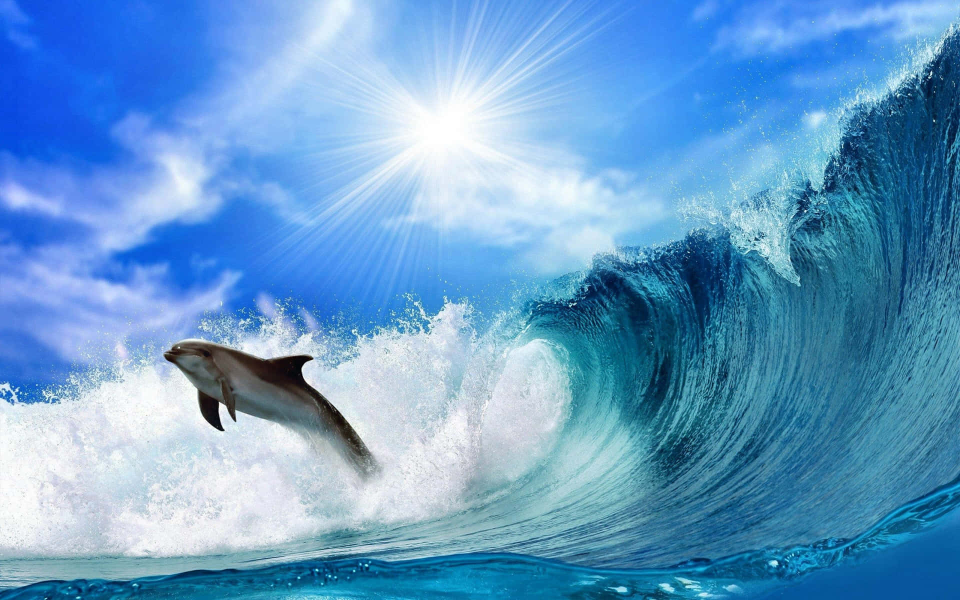 A Playful Cool Dolphin Jumping Out Of The Water Background