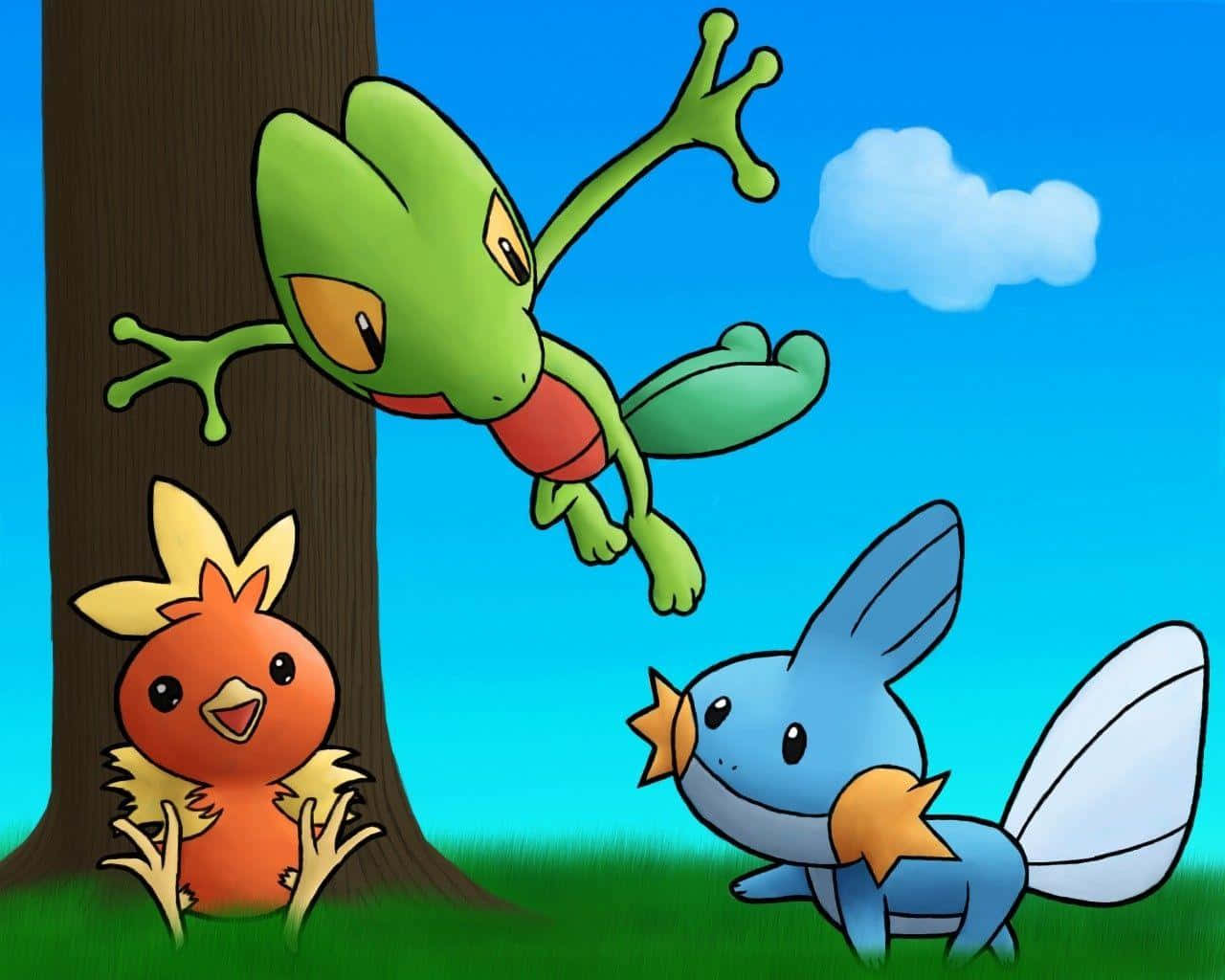 A Playful Pose Of Torchic With Treecko And Mudkip In A Vibrant Pokemon Setting. Background
