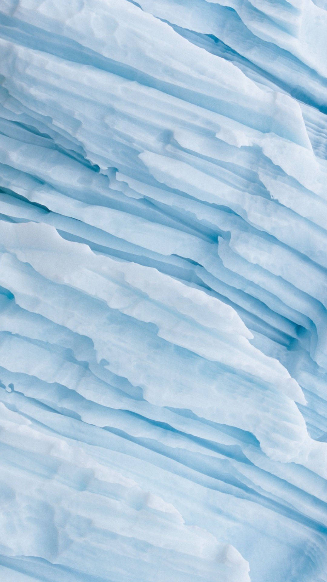 A Polar Bear Is Standing On A Iceberg Background