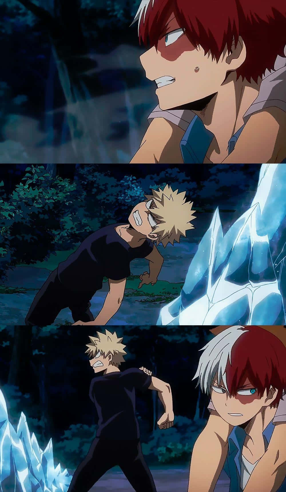 A Portrait Of Harmony In Japan