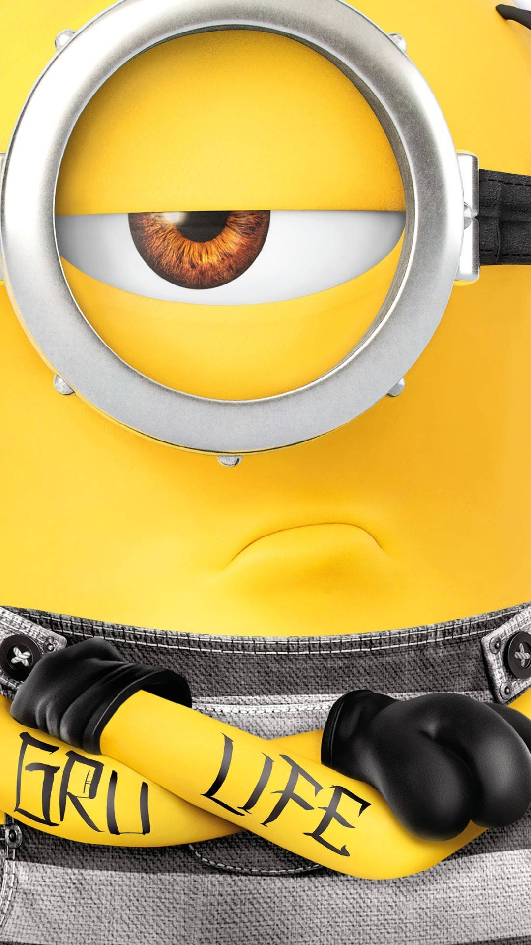 A Poster For The Movie Minions