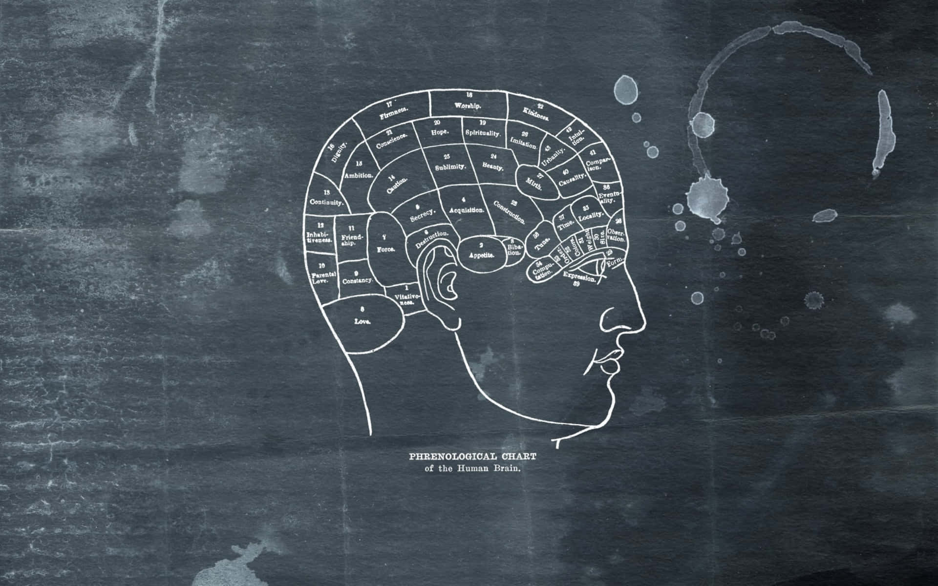 A Poster With A Drawing Of A Head On It Background