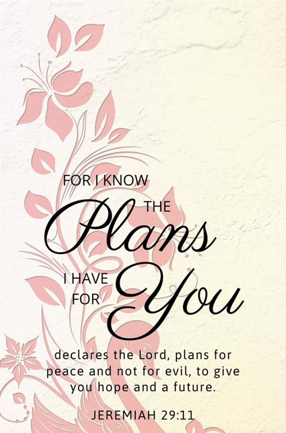 A Poster With The Words For I Know The Plans I Have You