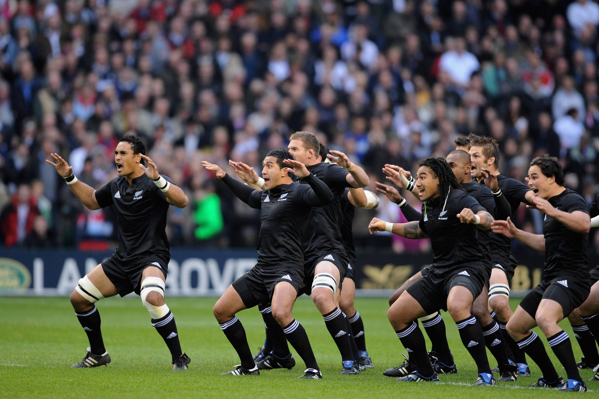 A Powerful Moment With The All Blacks Nz Rugby Team Background