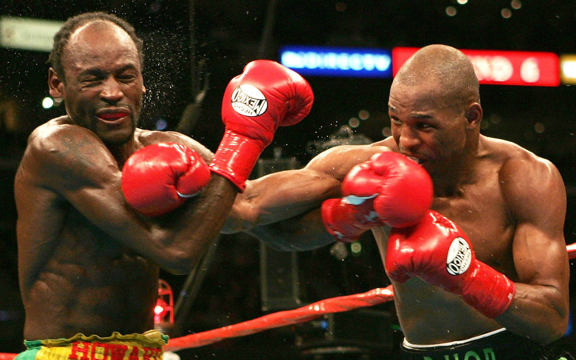 A Precise Punch By Bernard Hopkins