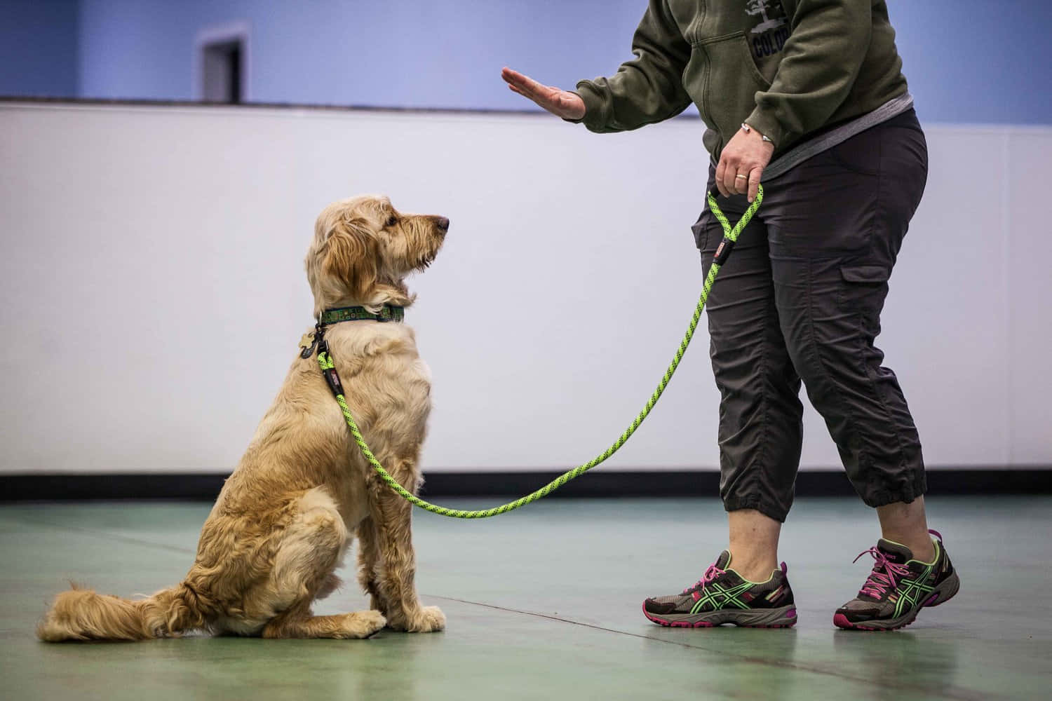 A Professional Dog Trainer Guiding A German Shepherd Through An Outdoor Training Session. Background