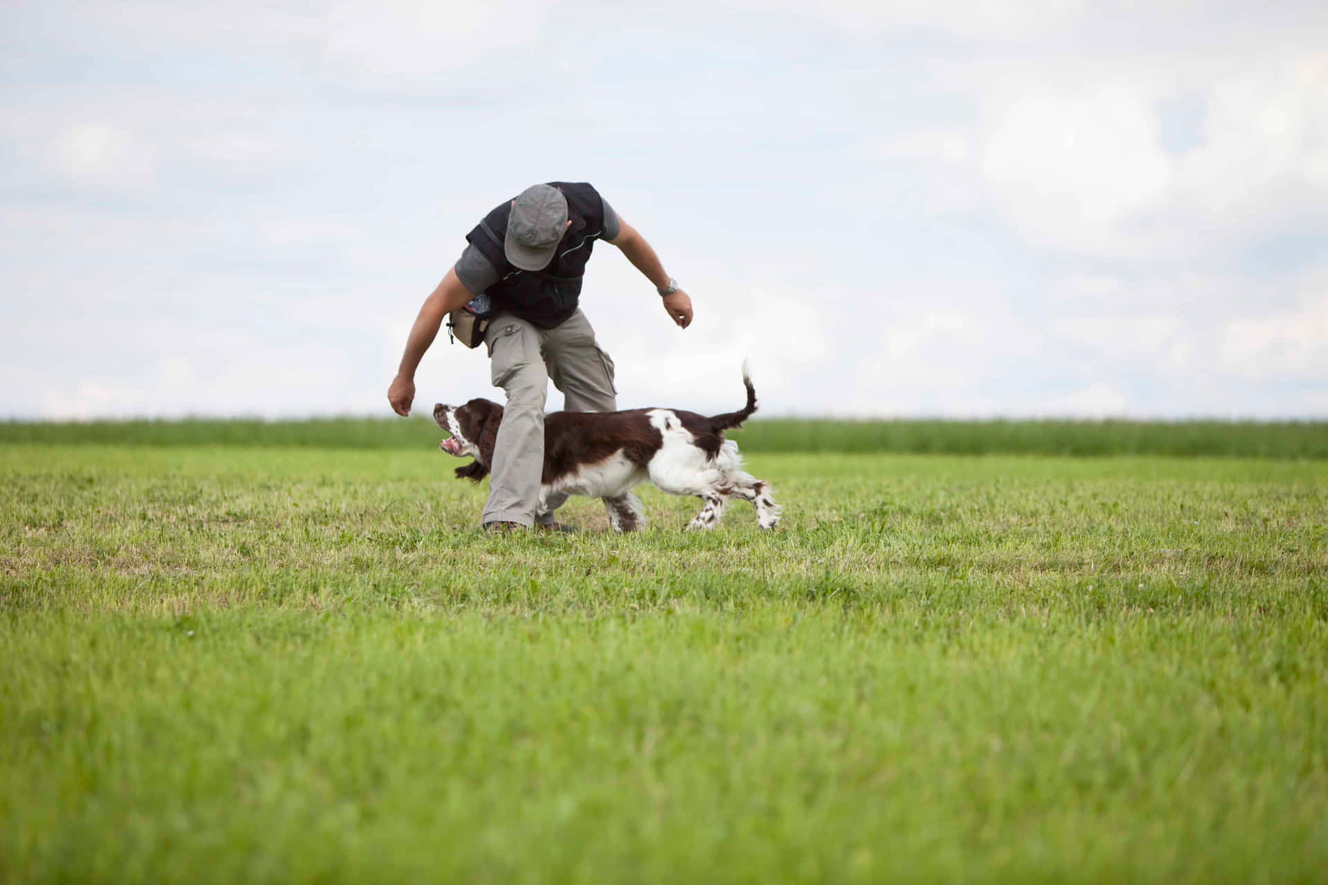 A Professional Dog Trainer Leading A Group-obedience Class For Dogs Of Various Breeds Outdoors.