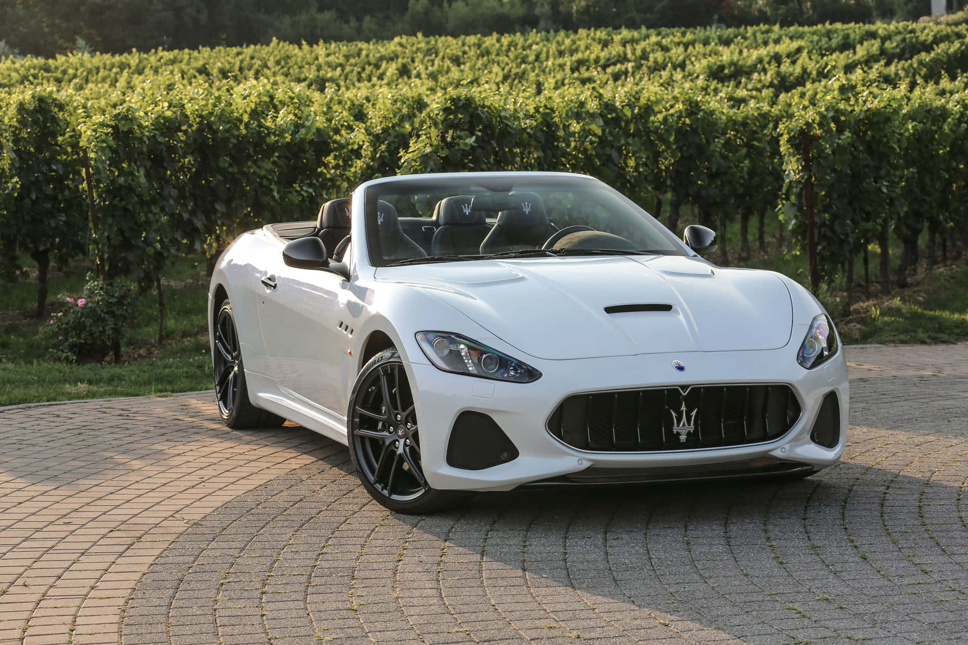 “a Profile Of Luxury - The 4k Maserati”