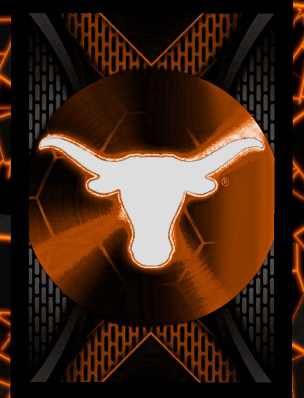 A Proud Texas Longhorn Stands Tall