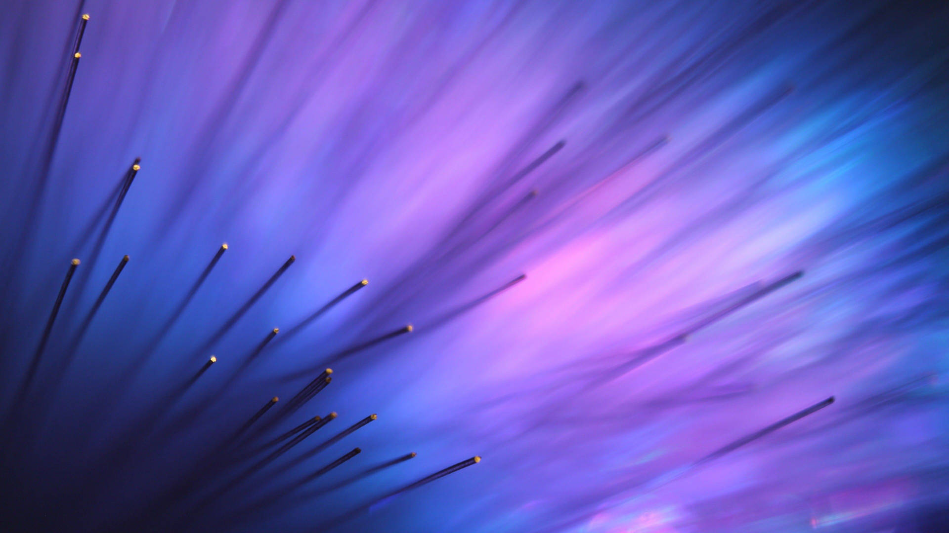 A Purple And Blue Flower With A Lot Of Spikes Background