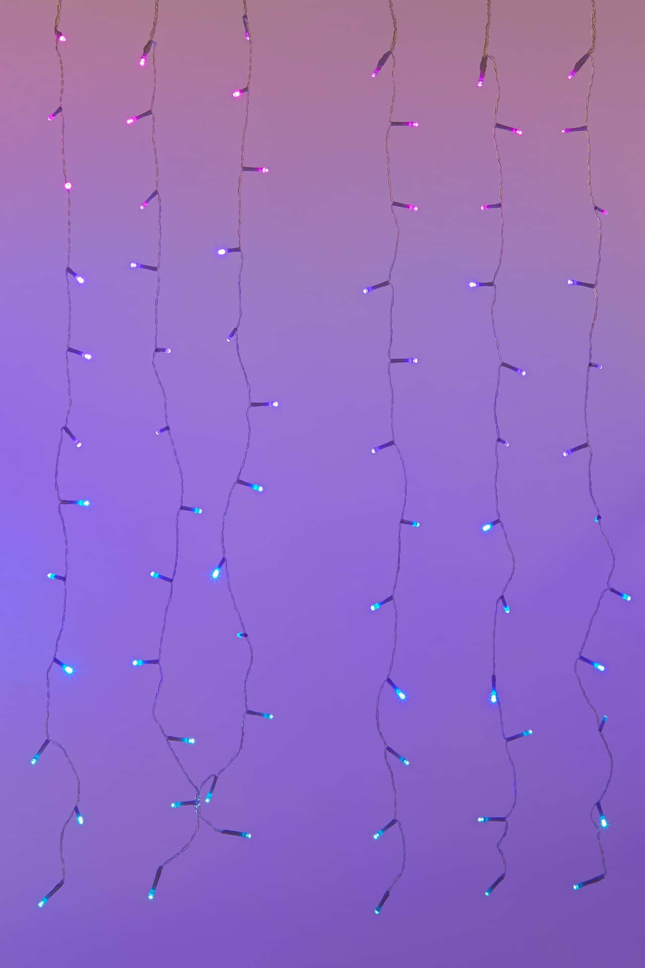 A Purple And Blue Light String Hanging From A Purple Wall Background