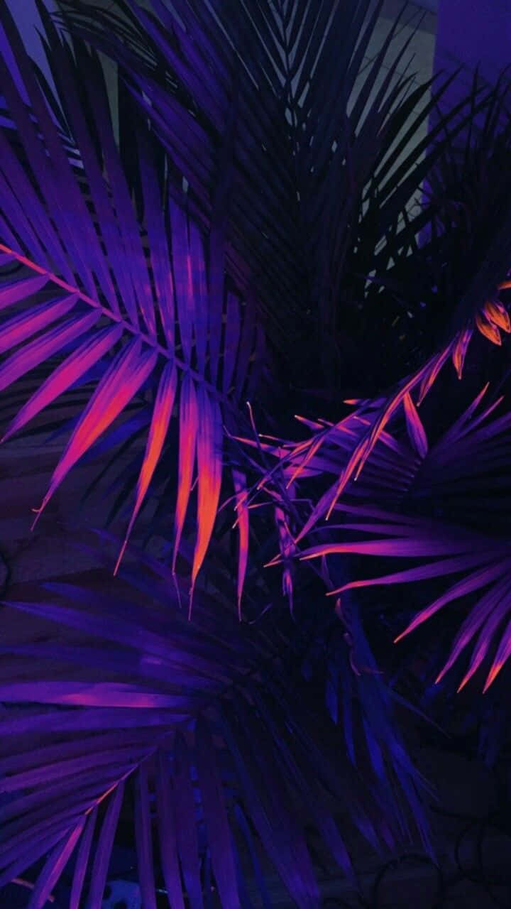 A Purple And Blue Palm Tree With Lights On It
