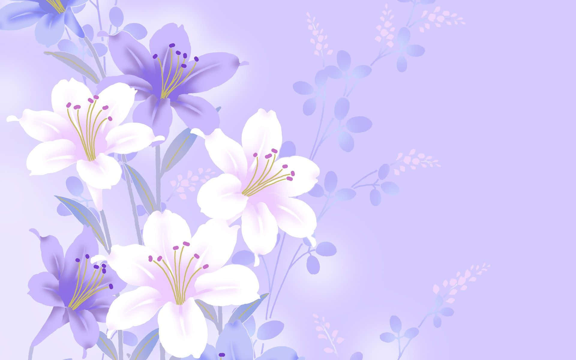 A Purple And White Floral Background With Flowers Background