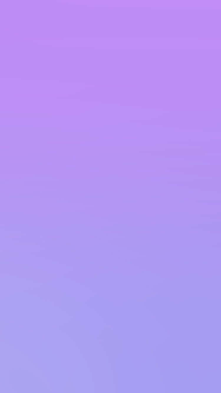 A Purple Background With A White Cat On It Background