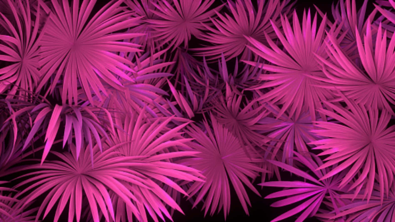 A Purple Background With Palm Leaves Background