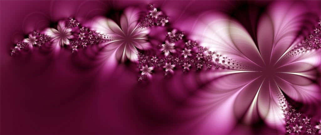 A Purple Flower With A Black Background Background