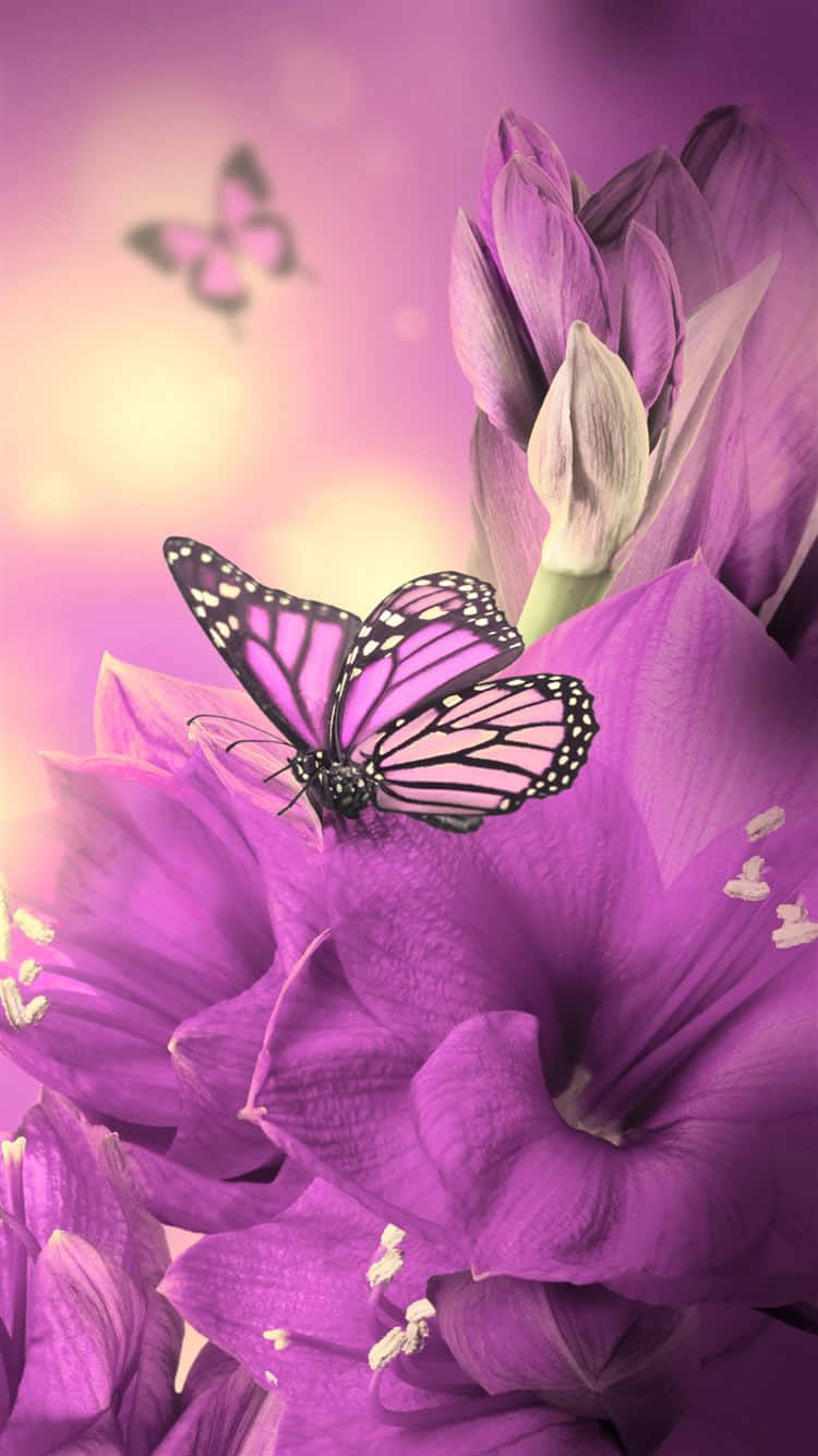 A Purple Flower With A Butterfly On It Background