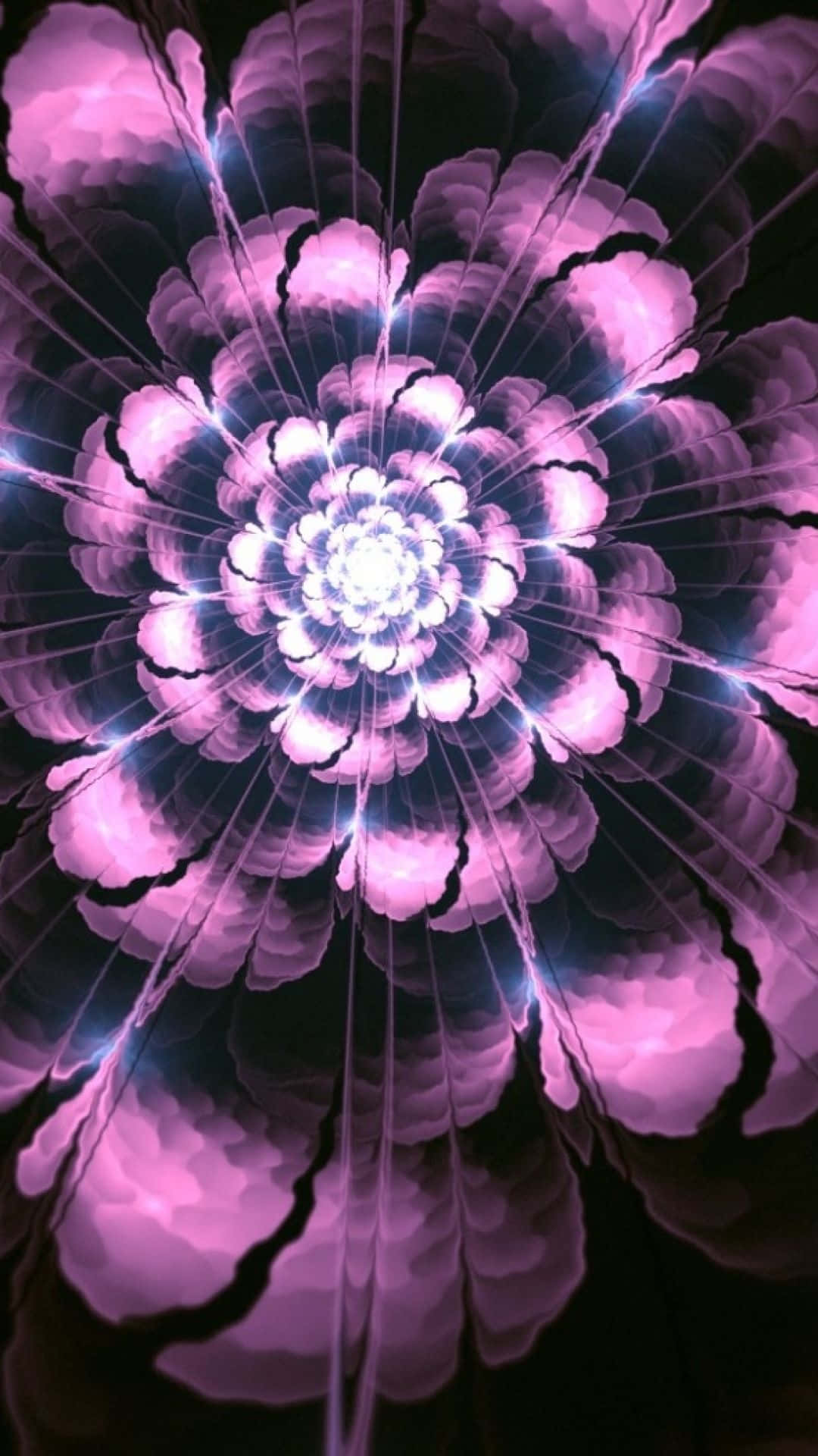 A Purple Flower With A Light Shining Through It Background