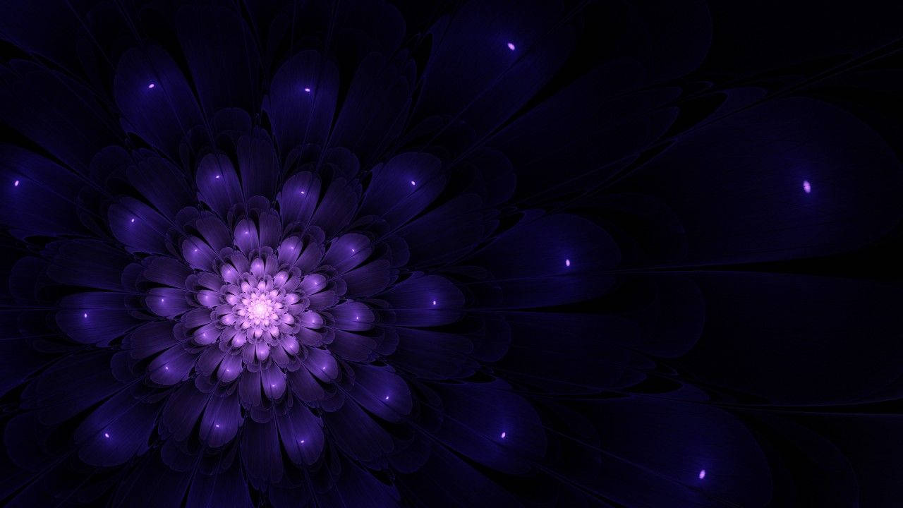 A Purple Flower With Lights On It Background