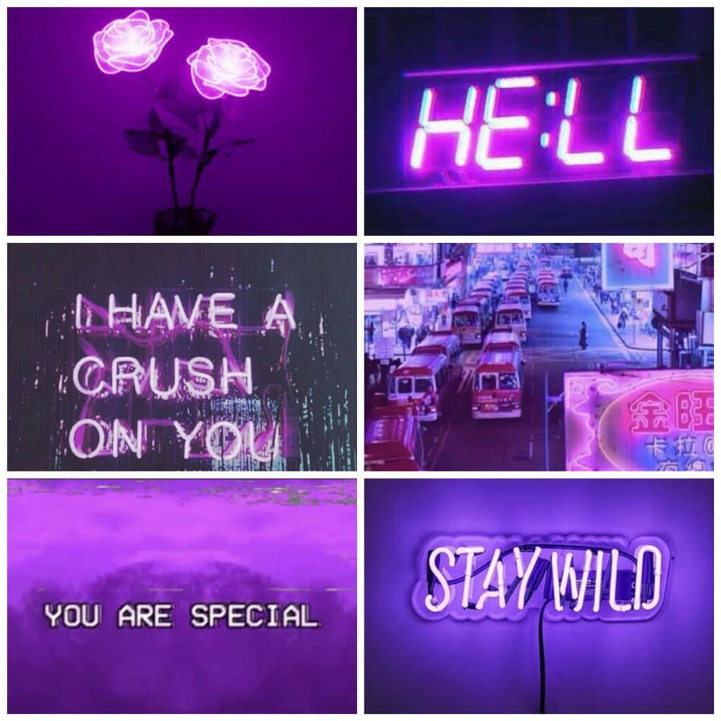 A Purple Neon Sign With The Words I Have A Crush On You Background