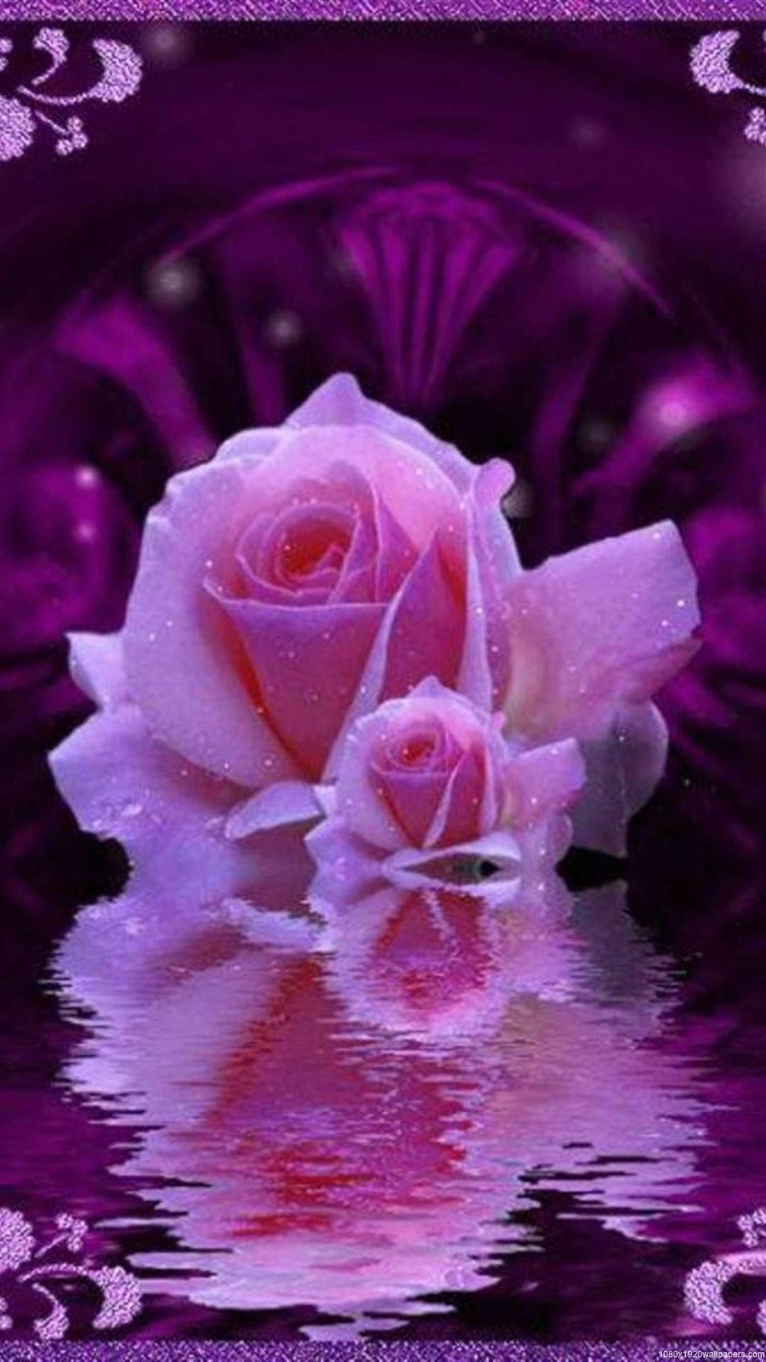 A Purple Rose Is Reflected In Water Background