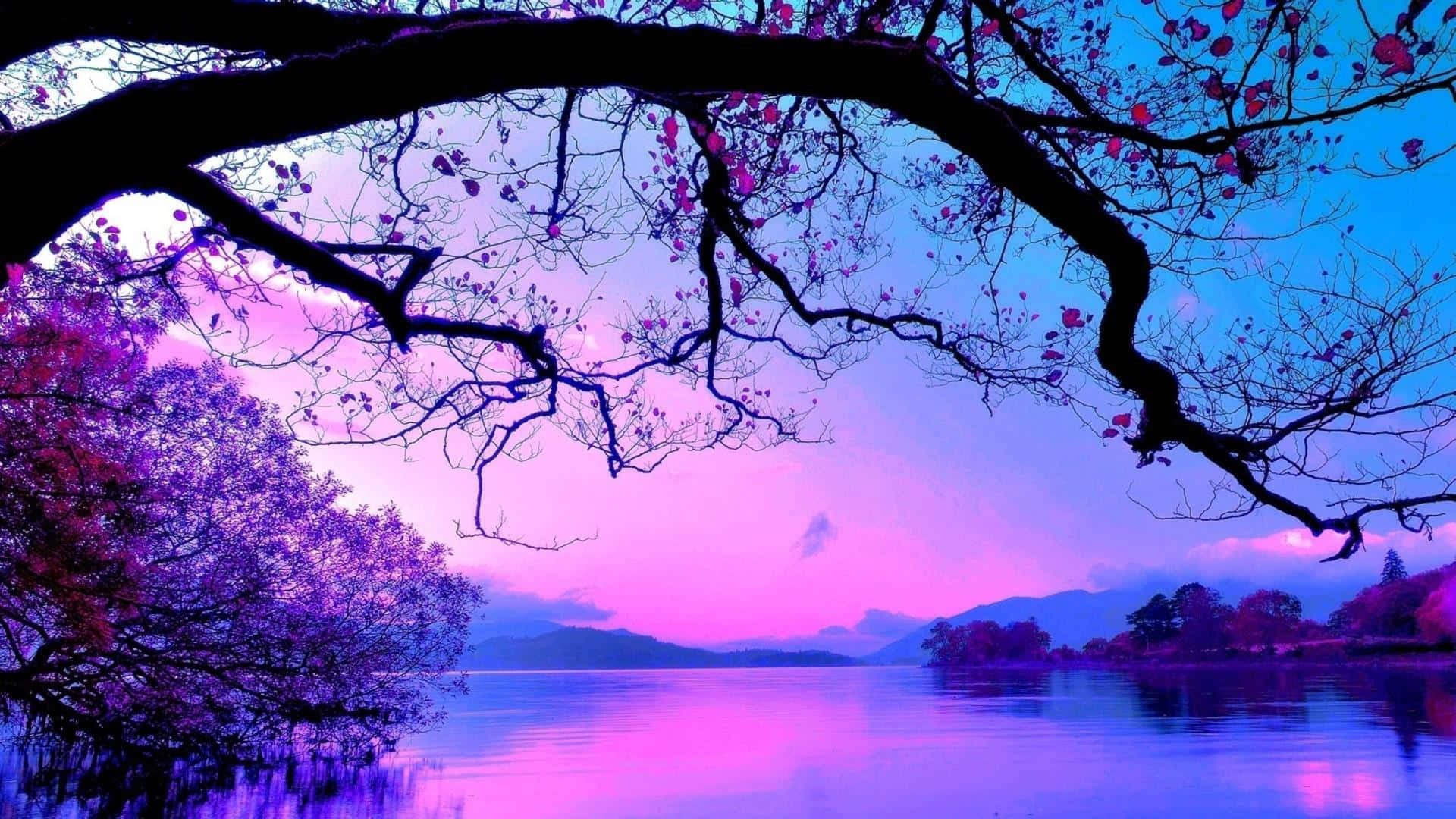 A Purple Sky With A Tree And Water Background