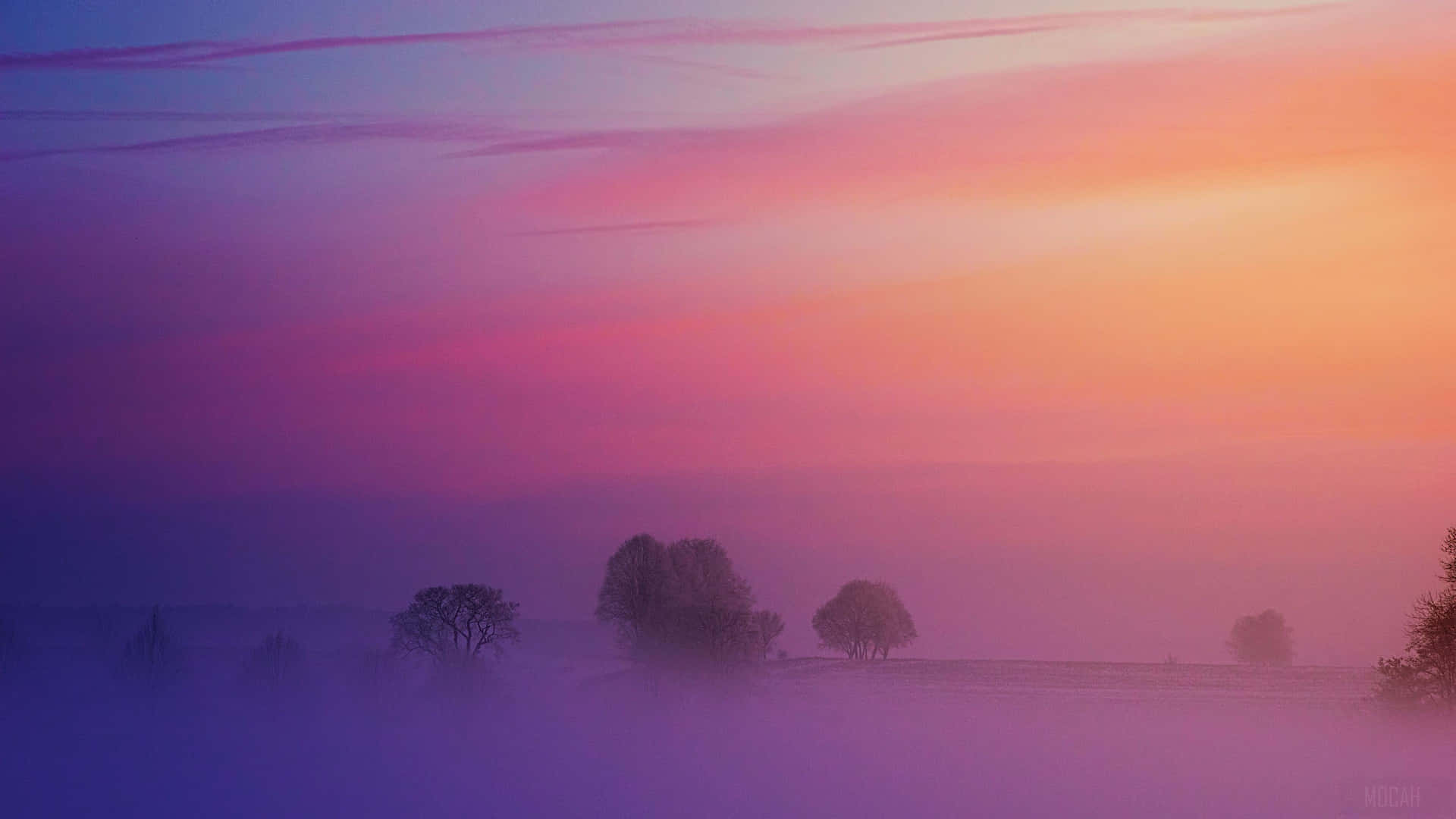 A Purple Sky With Fog And Trees Background